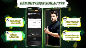 XoilacTV – Lý do hàng triệu người chọn xem bóng đá trực tuyến miễn phí tại đây